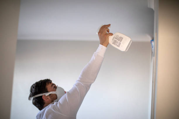 Best Emergency Mold Remediation in Fair Oaks, GA