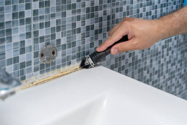 Best Industrial Mold Remediation in Fair Oaks, GA